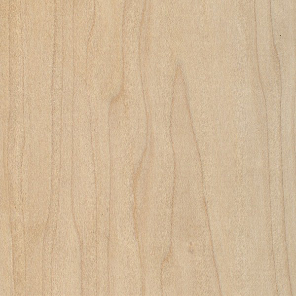 Hard Maple wood swatch