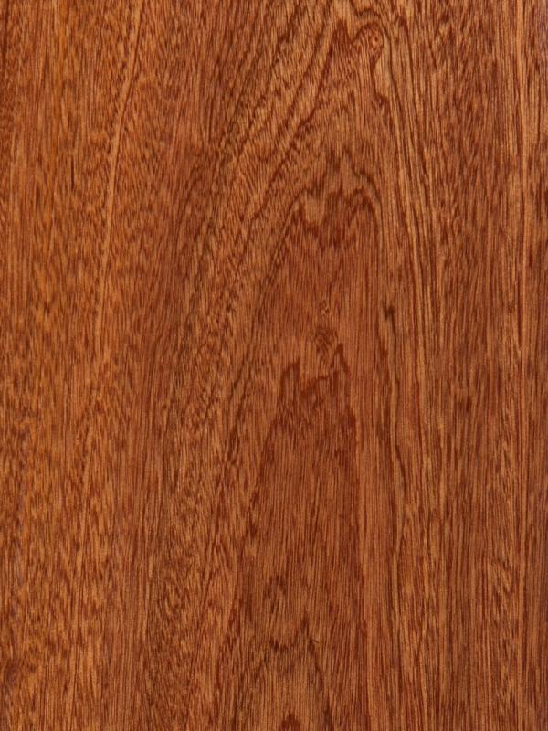 Sapele wood swatch