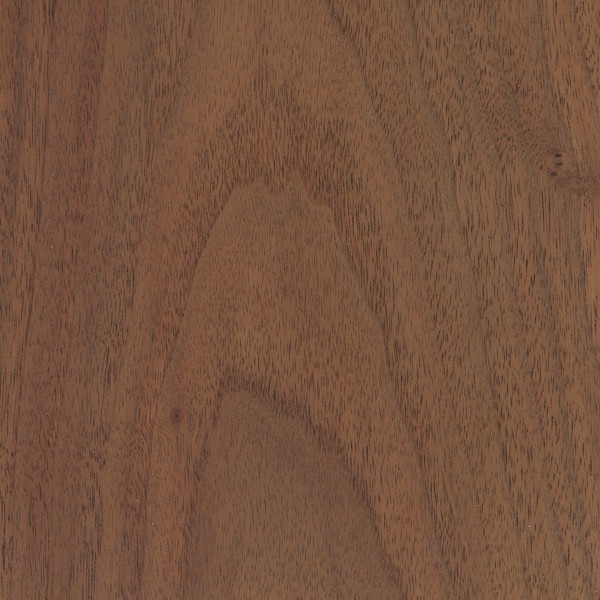 Walnut wood swatch
